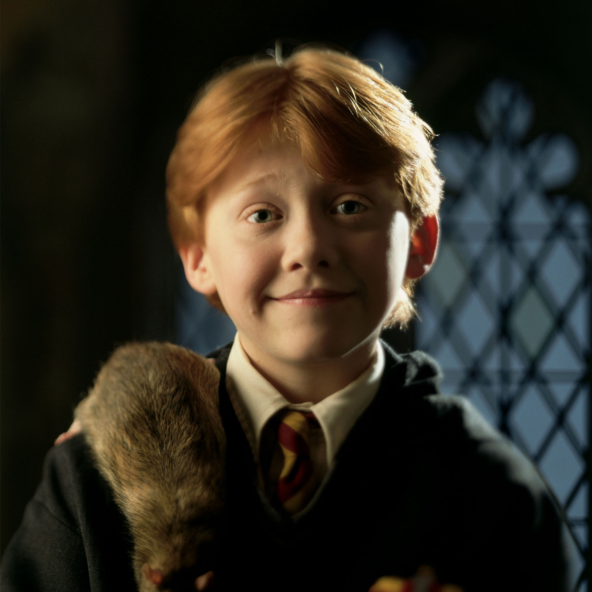 Harry Potter Ron Weasley close-up